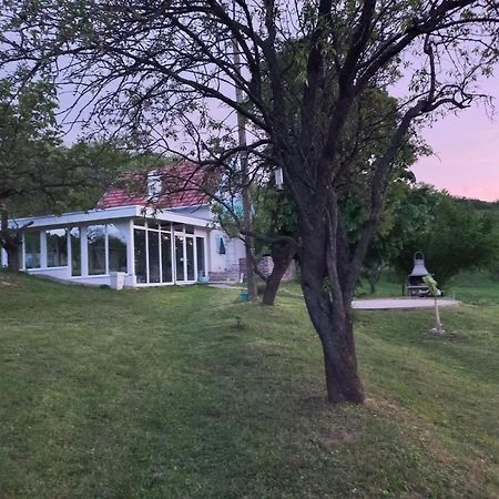 Honey Hill Apartment Fruska Gora Cerevic Экстерьер фото