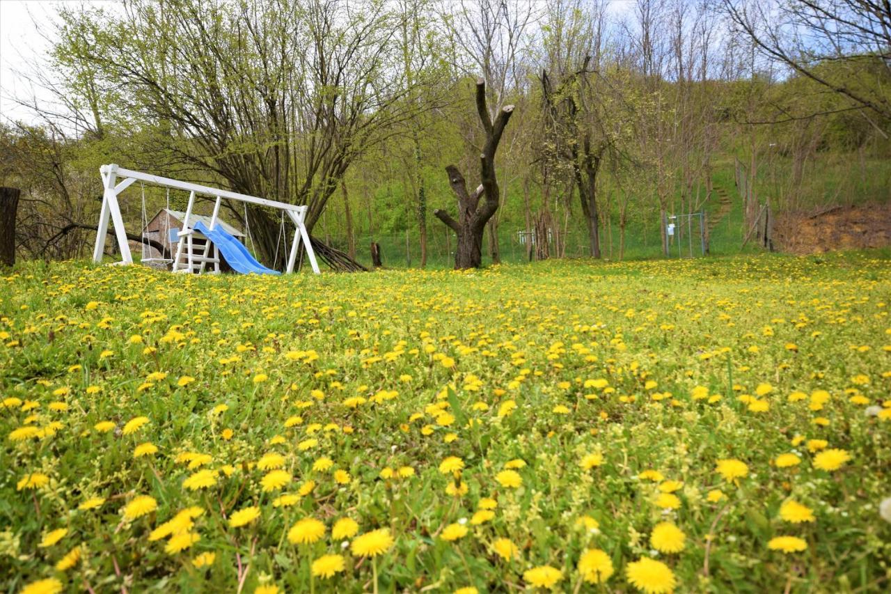 Honey Hill Apartment Fruska Gora Cerevic Экстерьер фото