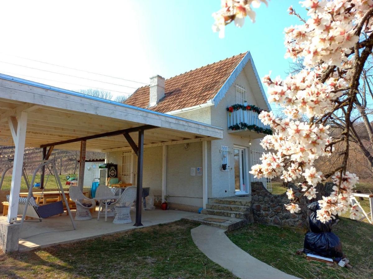 Honey Hill Apartment Fruska Gora Cerevic Экстерьер фото