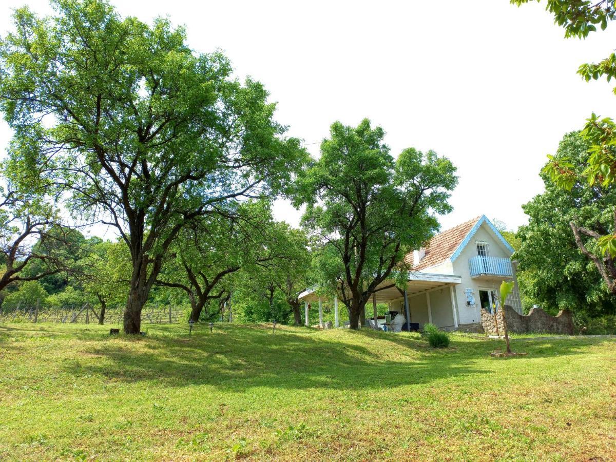 Honey Hill Apartment Fruska Gora Cerevic Экстерьер фото