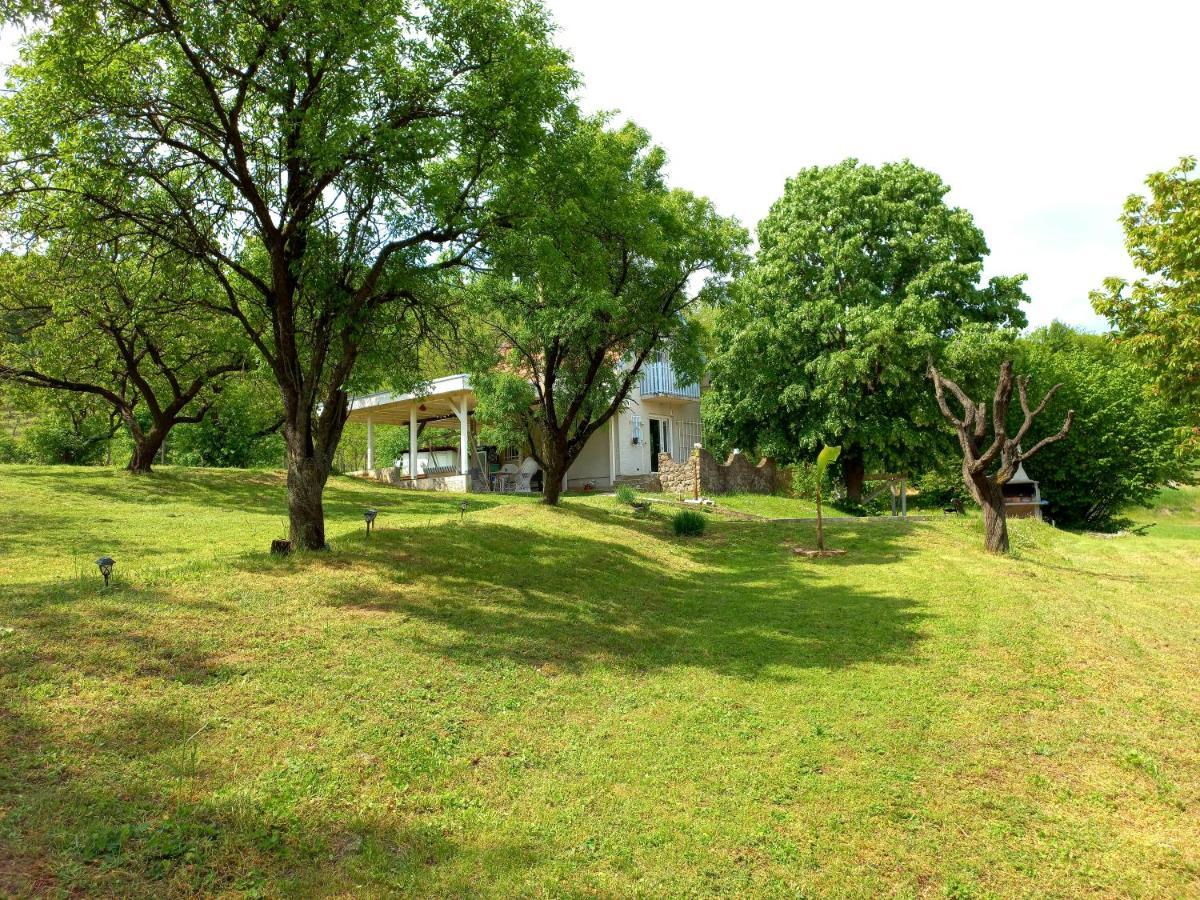 Honey Hill Apartment Fruska Gora Cerevic Экстерьер фото