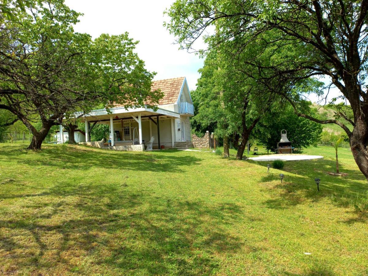 Honey Hill Apartment Fruska Gora Cerevic Экстерьер фото