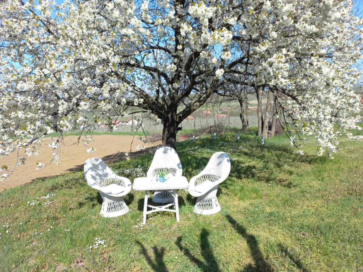 Honey Hill Apartment Fruska Gora Cerevic Экстерьер фото