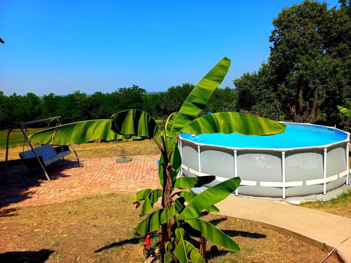 Honey Hill Apartment Fruska Gora Cerevic Экстерьер фото