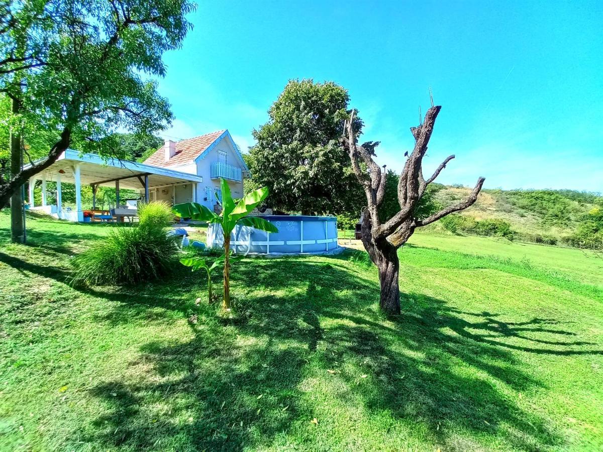 Honey Hill Apartment Fruska Gora Cerevic Экстерьер фото