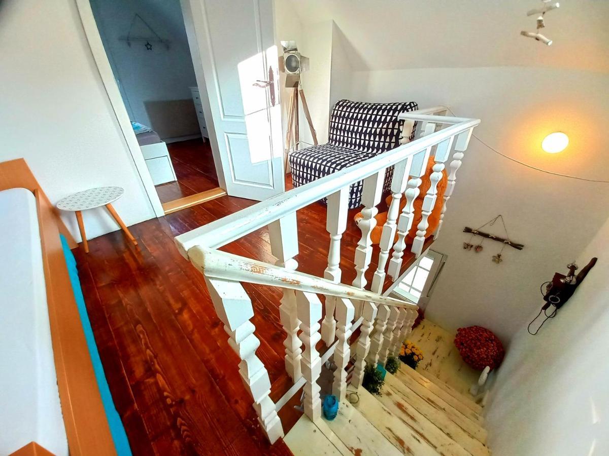 Honey Hill Apartment Fruska Gora Cerevic Экстерьер фото