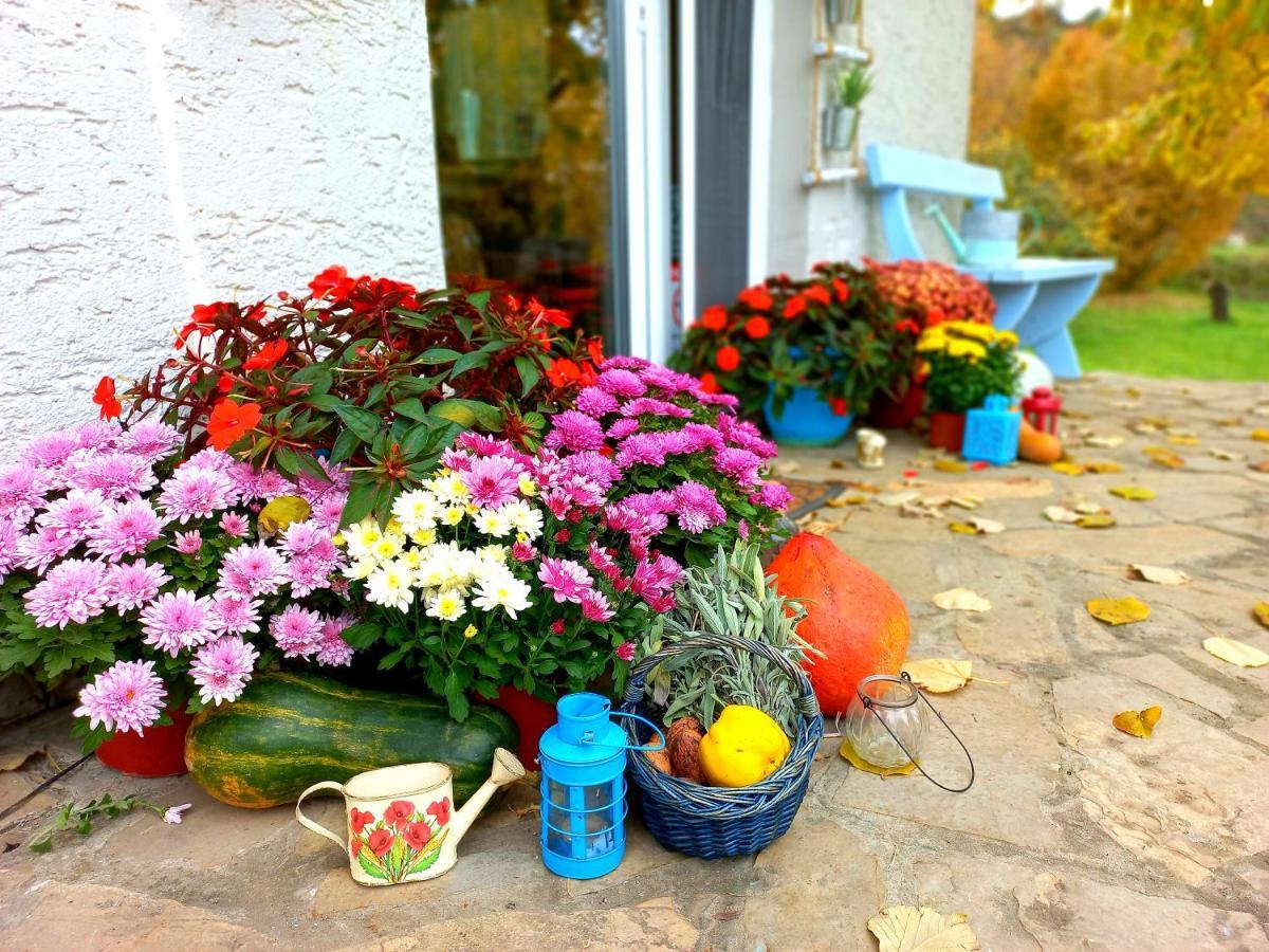 Honey Hill Apartment Fruska Gora Cerevic Экстерьер фото