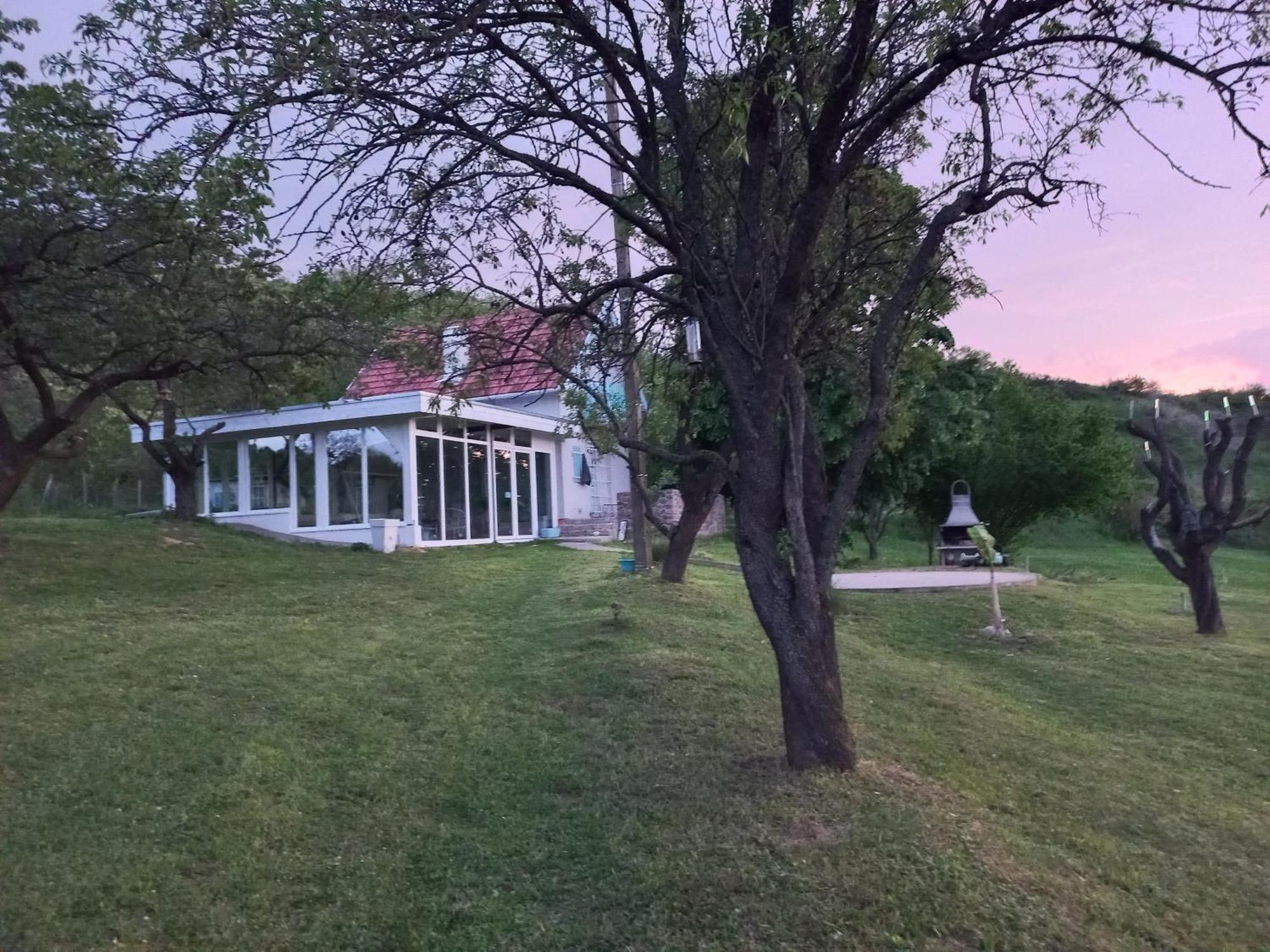 Honey Hill Apartment Fruska Gora Cerevic Экстерьер фото